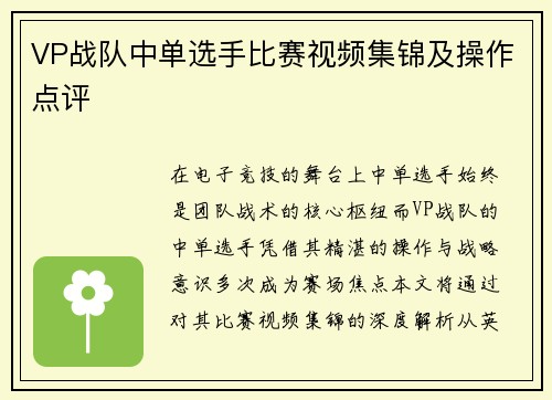 VP战队中单选手比赛视频集锦及操作点评