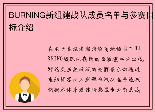 BURNING新组建战队成员名单与参赛目标介绍